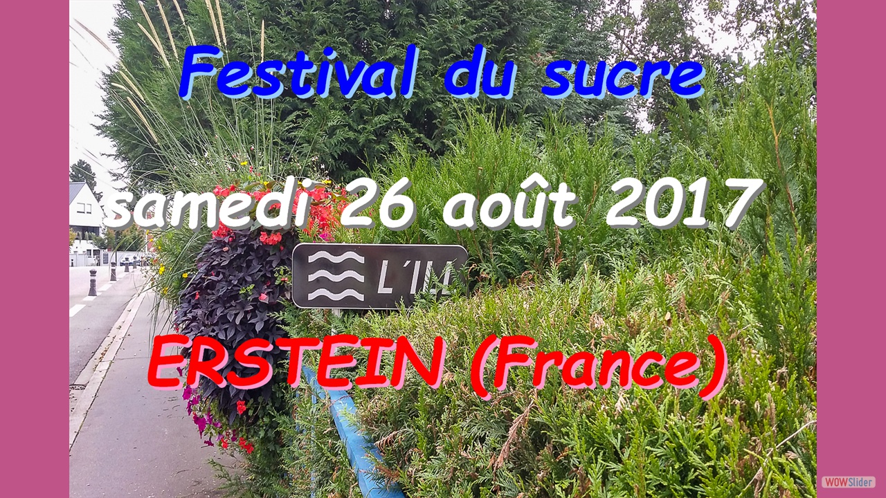 intro-erstein-2017.