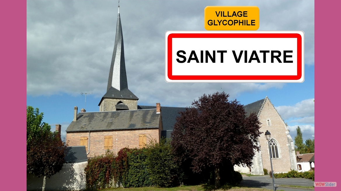 saint_viatre